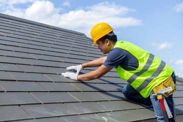 Best Flat Roof Repair Services  in Colfax, IL