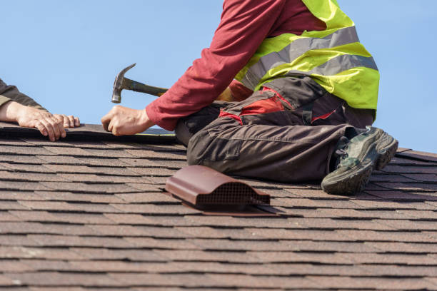 Best Commercial Roofing Services  in Colfax, IL
