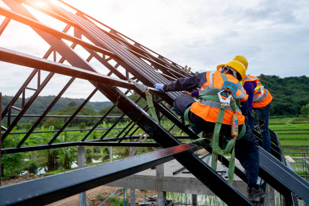 Best Commercial Roofing Services  in Colfax, IL