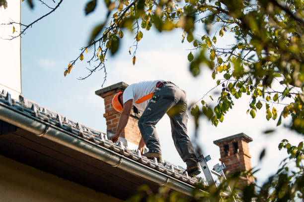Colfax, IL Roofing Contractor Company